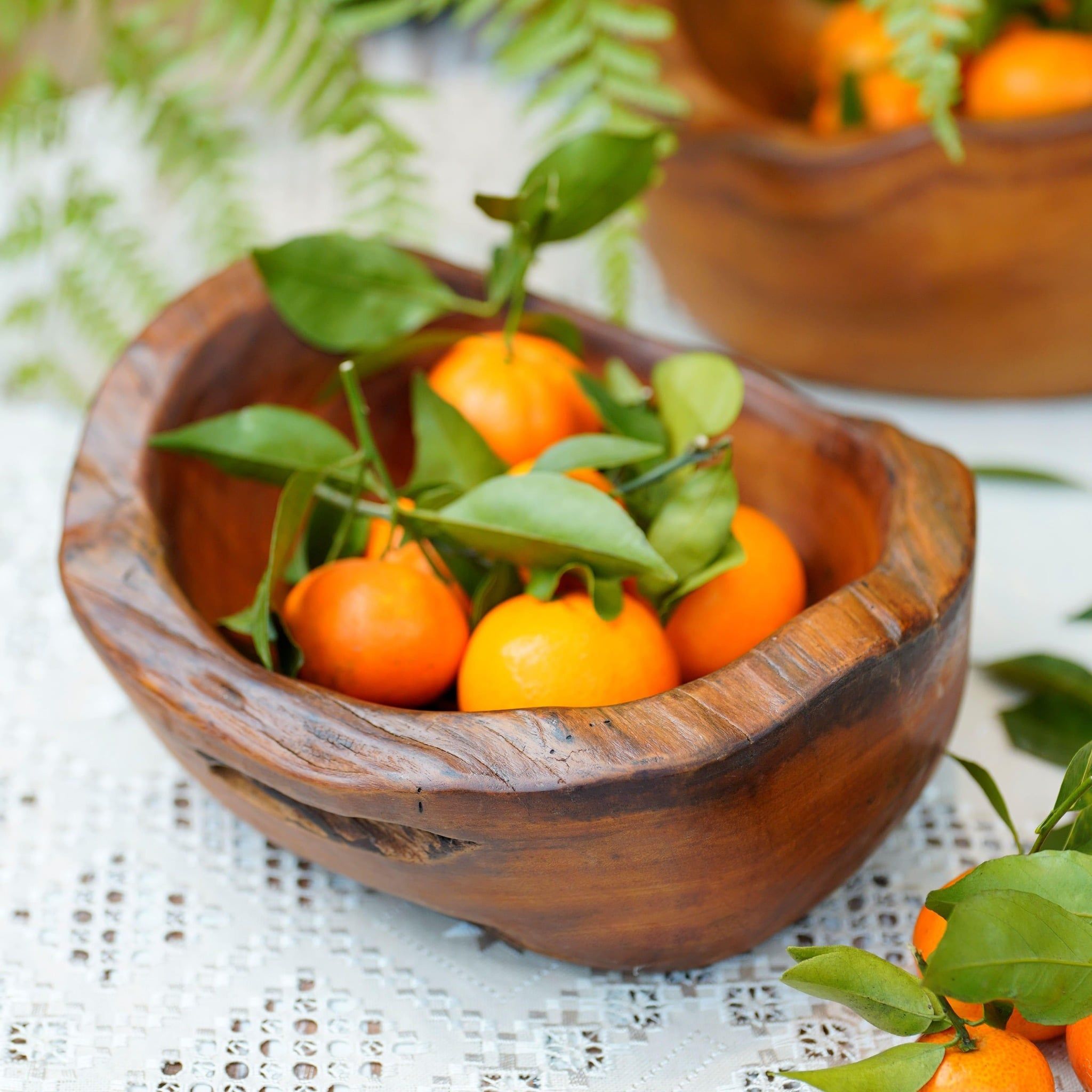  Khay Gỗ Decor Gỗ Lũa Reborn Wood Driftwood 16IX3-Lot No.3 