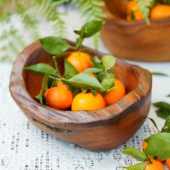  Khay Gỗ Decor Gỗ Lũa Reborn Wood Driftwood 16IX3-Lot No.3 