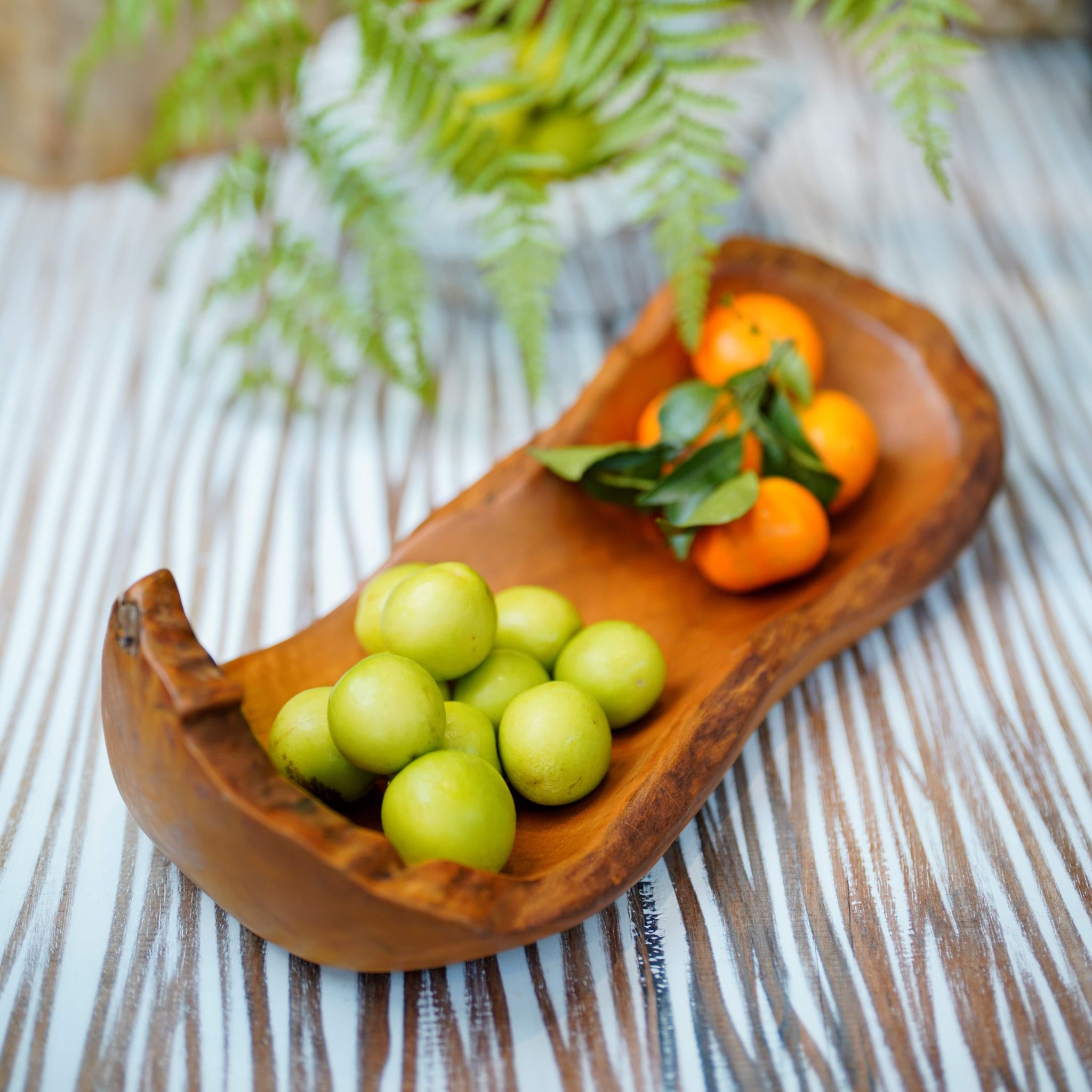  Khay Gỗ Decor Gỗ Lũa Reborn Wood Driftwood 16IX3-Lot No.2 