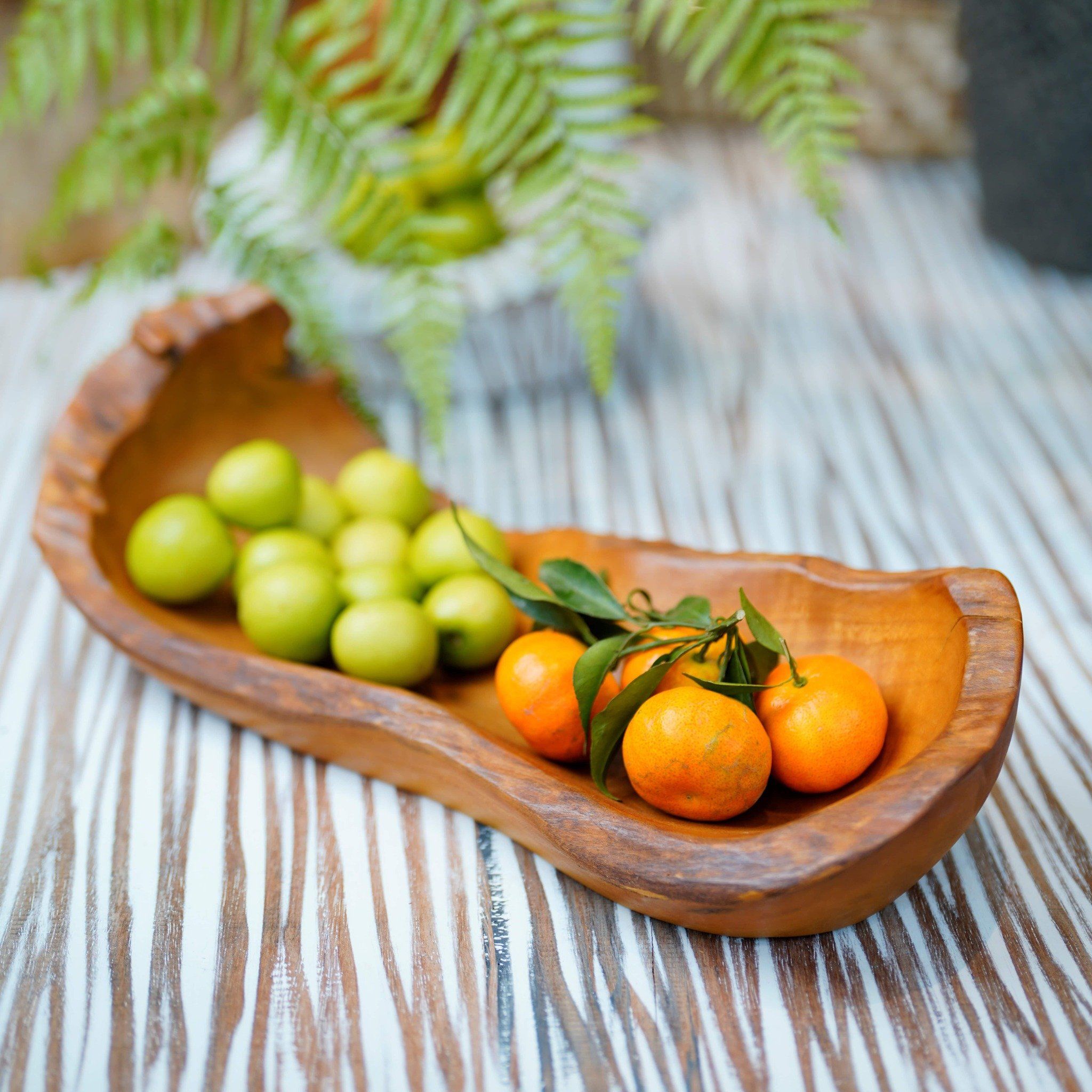  Khay Gỗ Decor Gỗ Lũa Reborn Wood Driftwood 16IX3-Lot No.2 