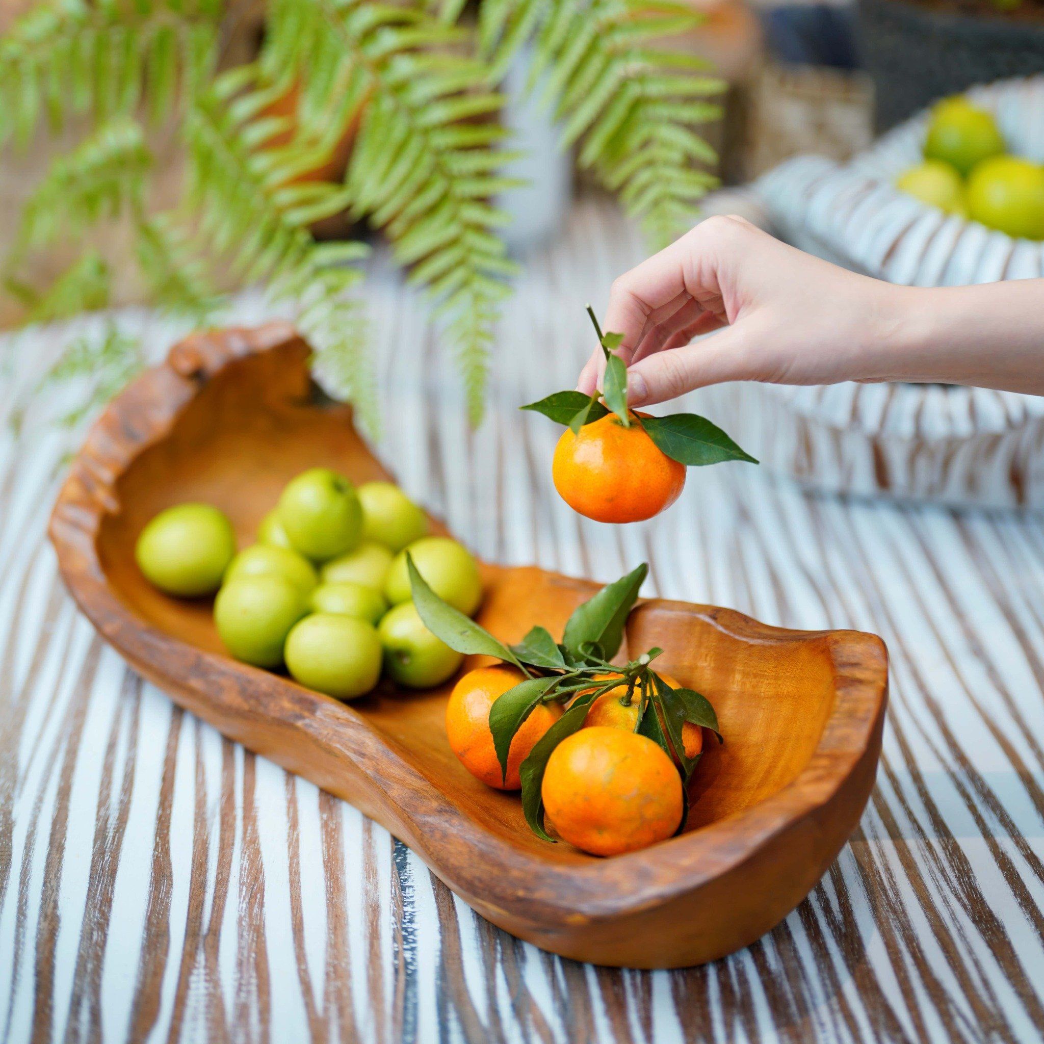  Khay Gỗ Decor Gỗ Lũa Reborn Wood Driftwood 16IX3-Lot No.2 