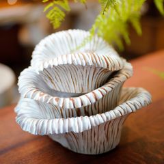  Khay Gỗ Decor Blossoms Bloom 