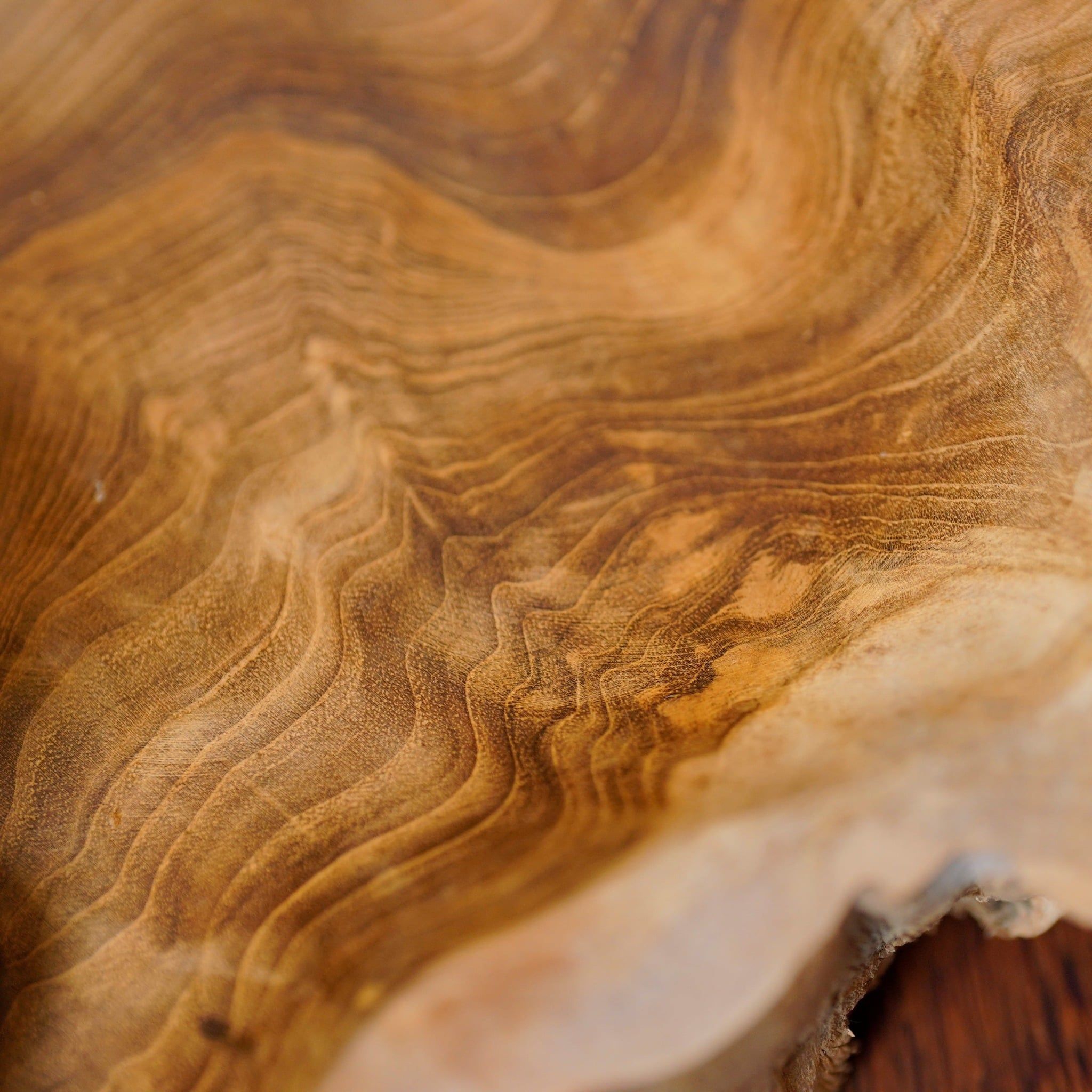  Khay Gỗ Reclaimed Teak Abstract D300 