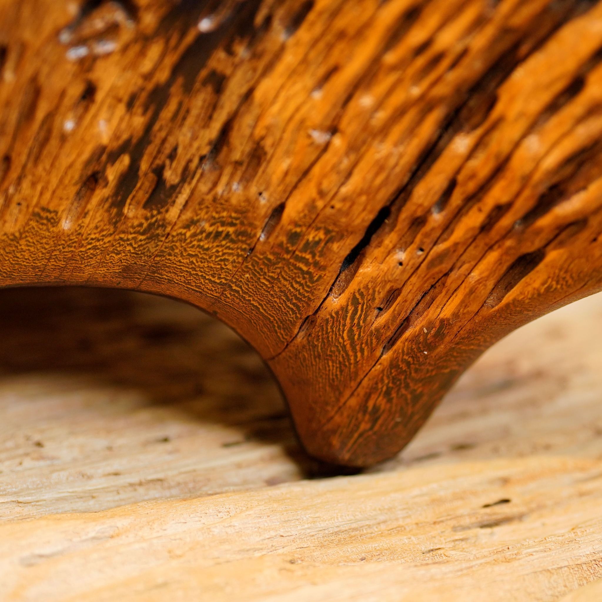  Khay Gỗ Decor Gỗ Lũa Reborn Wood Driftwood 16IX3-Lot No.1 