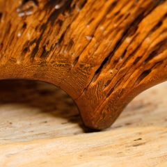  Khay Gỗ Decor Gỗ Lũa Reborn Wood Driftwood 16IX3-Lot No.1 