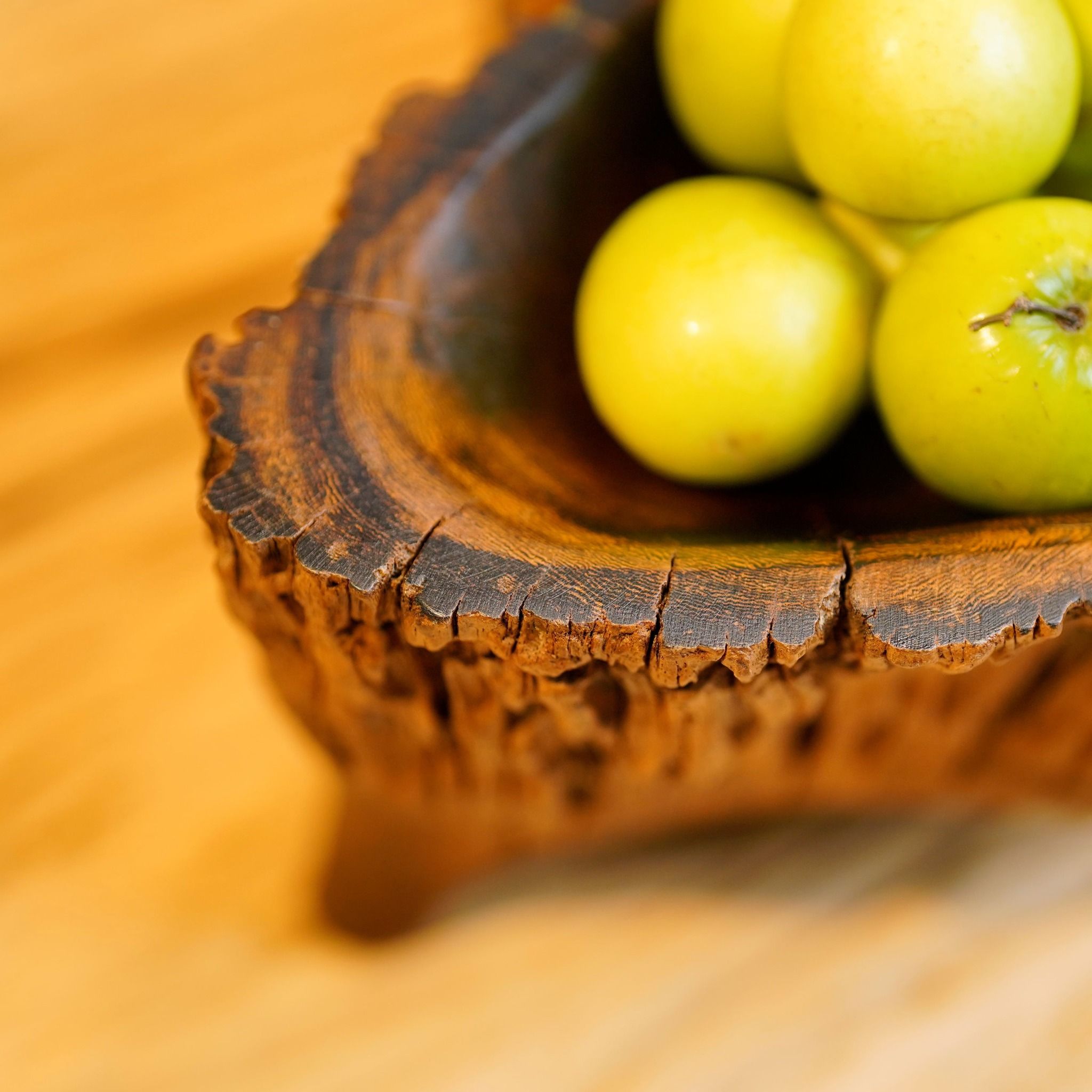  Khay Gỗ Decor Gỗ Lũa Reborn Wood Driftwood 16IX3-Lot No.1 