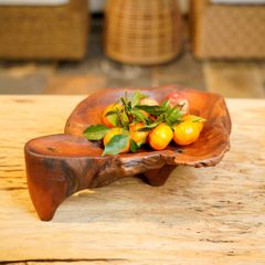  Khay Gỗ Decor Gỗ Lũa Reborn Wood Driftwood 16IX3-Lot No.1 