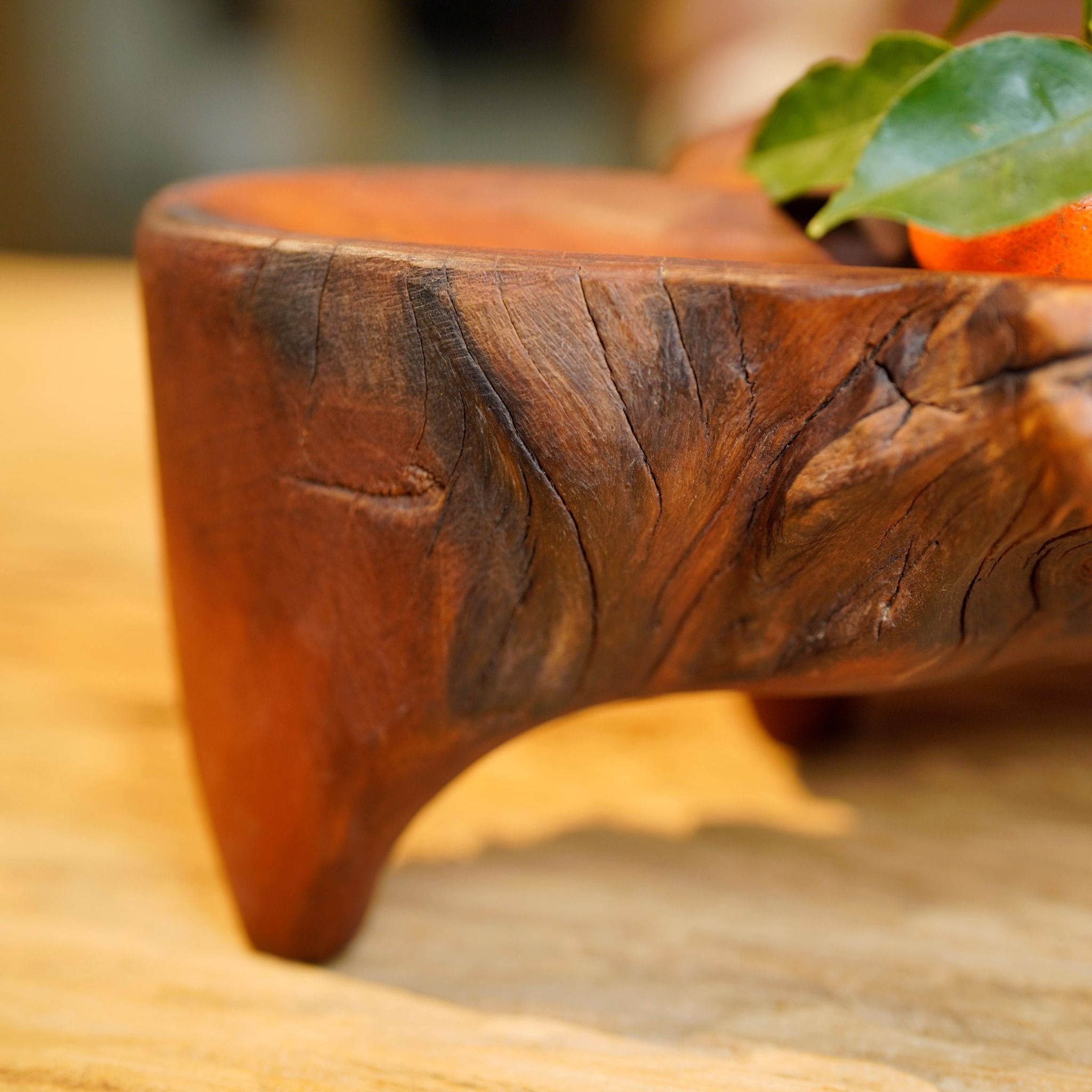  Khay Gỗ Decor Gỗ Lũa Reborn Wood Driftwood 16IX3-Lot No.1 