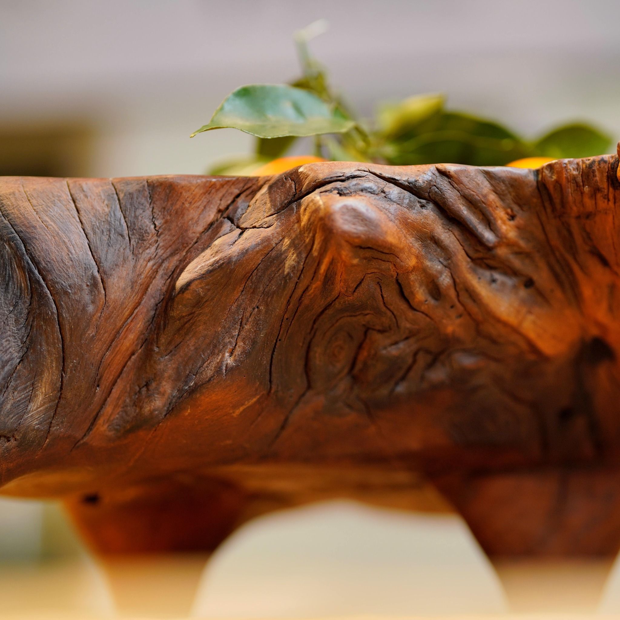  Khay Gỗ Decor Gỗ Lũa Reborn Wood Driftwood 16IX3-Lot No.1 