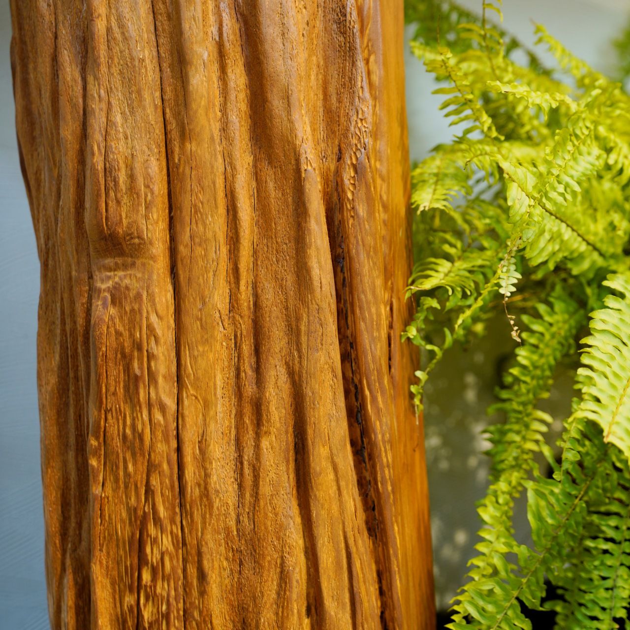  Bàn Console Gỗ Lũa Reborn Wood 16EX4 D277 