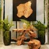  Bàn Console Gỗ Lũa Reborn Wood Root 