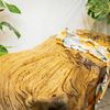  Băng Ghế Gỗ Gỗ Lũa Reborn Wood Driftwood 12EX3 