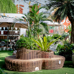  Băng Ghế Mây Nhựa Oasis 