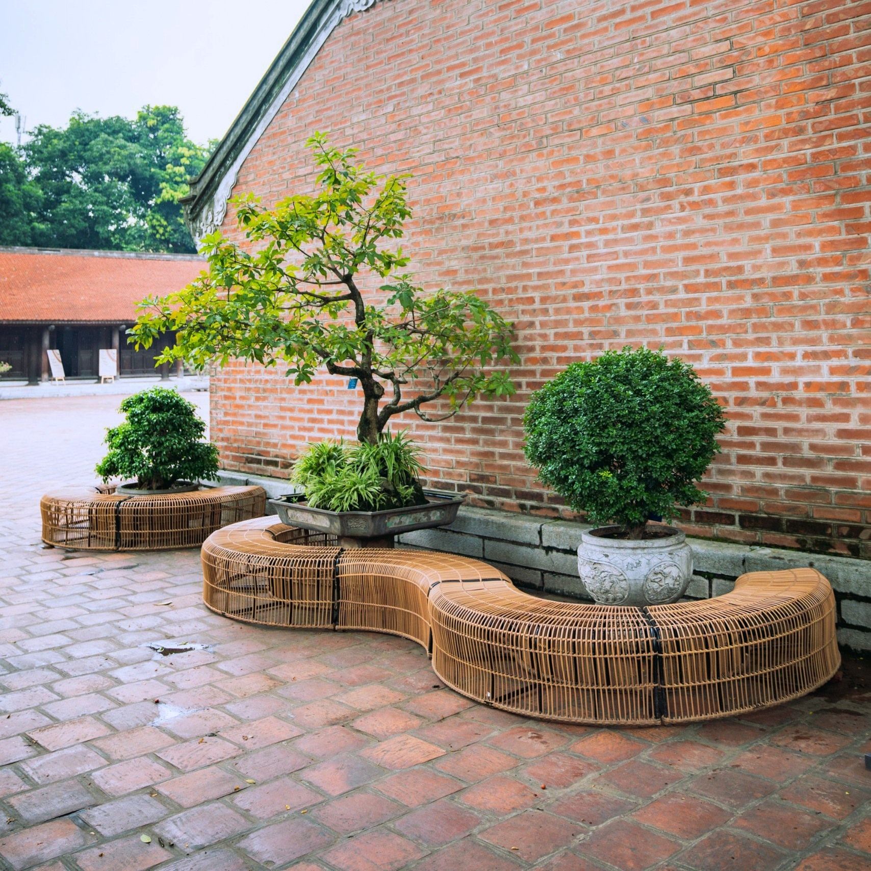  Băng Ghế Be Module 