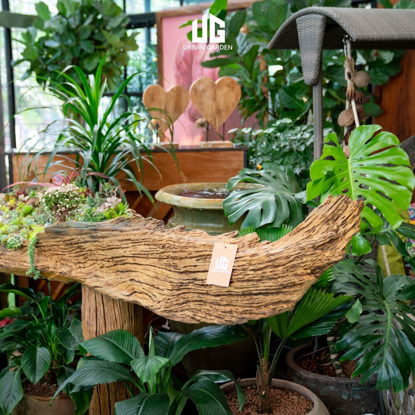  Décor Gỗ Lũa Reborn Wood Driftwood Be Water 02CX3 D3M2 