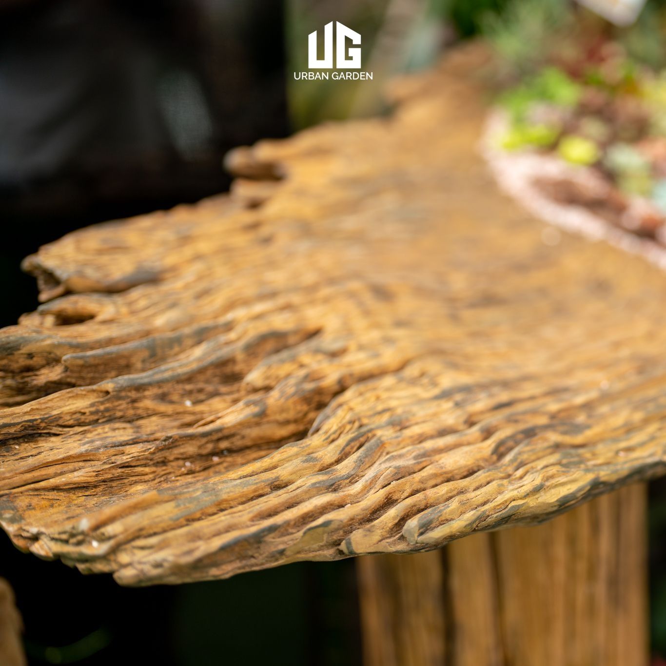  Décor Gỗ Lũa Reborn Wood Driftwood Be Water 02CX3 D3M2 