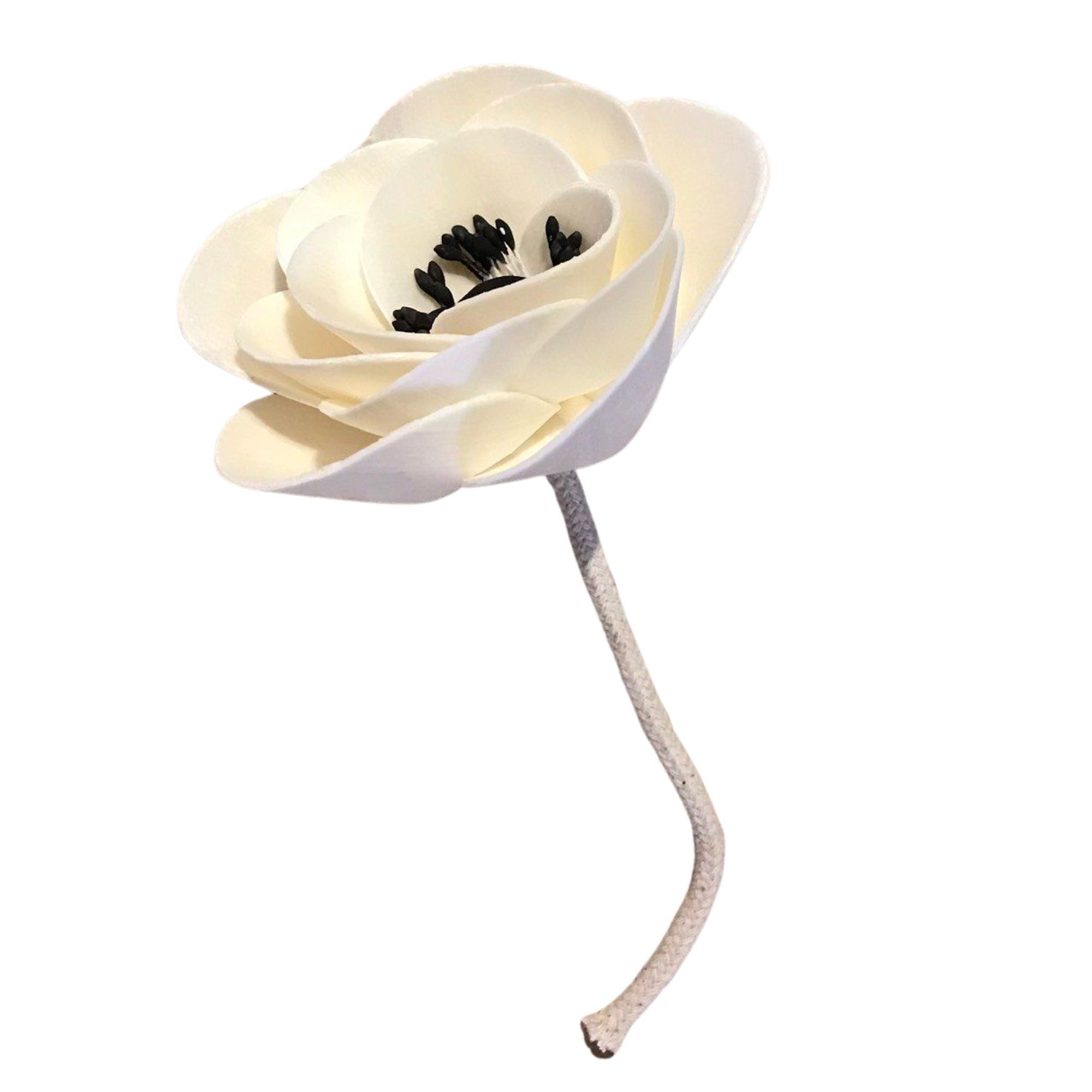  Hoa Khô Black Poppy Diffuser (8cm) 