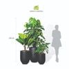  Bộ Chậu Monstera Cột L - Corda - Đen 