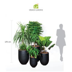  Bộ chậu cây Hạnh Phúc Corda - Đen 