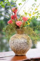  Chậu Cây Gốm Giả Cổ Mentor 6371AD 