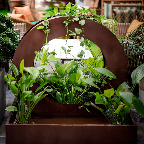 Chậu Thác Nước Moonsign