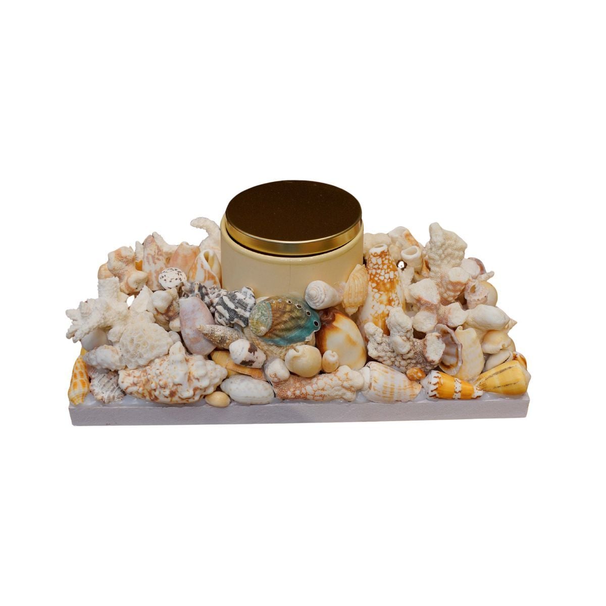  Cốc đựng nến Sea shell Art 
