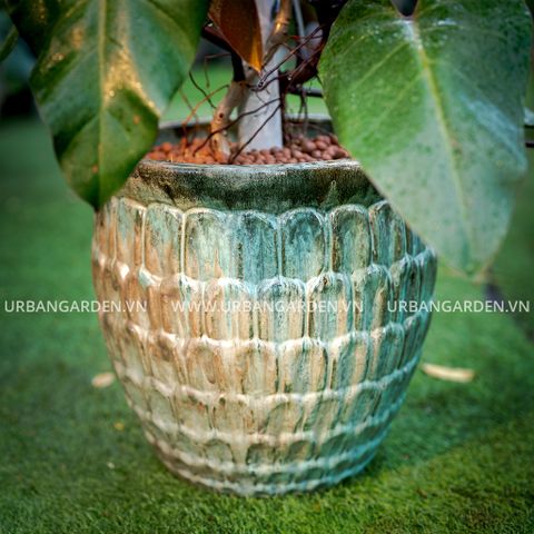 Chậu Cây Gốm Reina