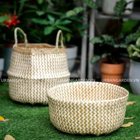 Giỏ cói bàng LQ31 - 7141