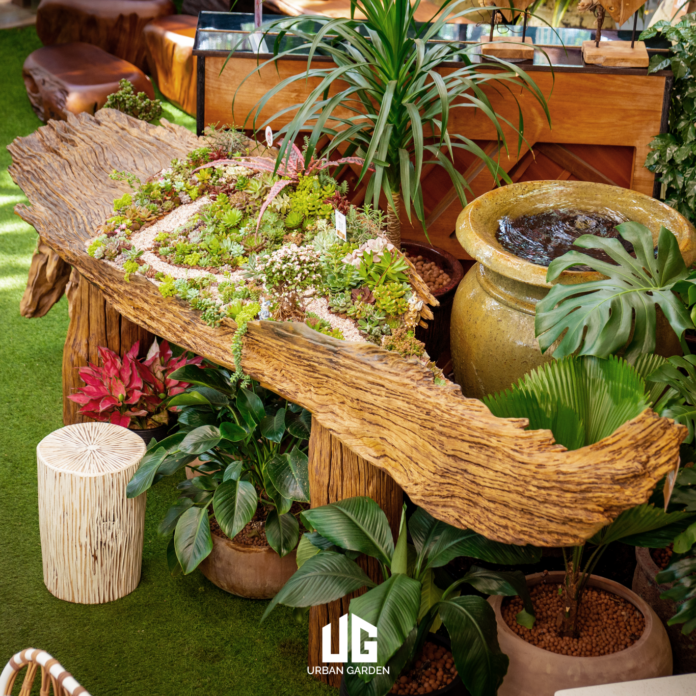  Décor Gỗ Lũa Reborn Wood Driftwood Be Water 02CX3 D3M2 