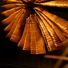  Driftwood Wall Art M2 