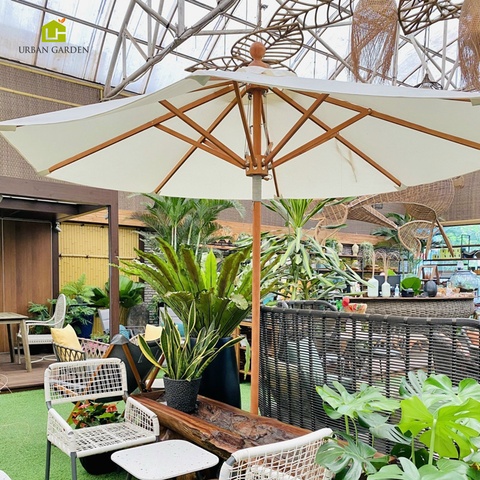 Dù che nắng ngoài trời Luna