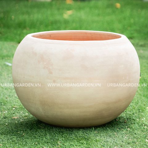 Chậu Cây Gốm Cotta