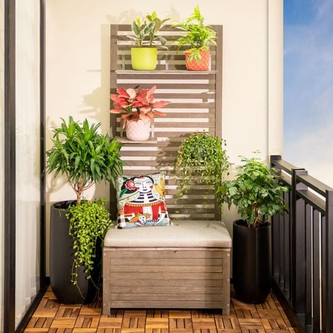 Kệ Để Cây Gỗ Tràm Mona