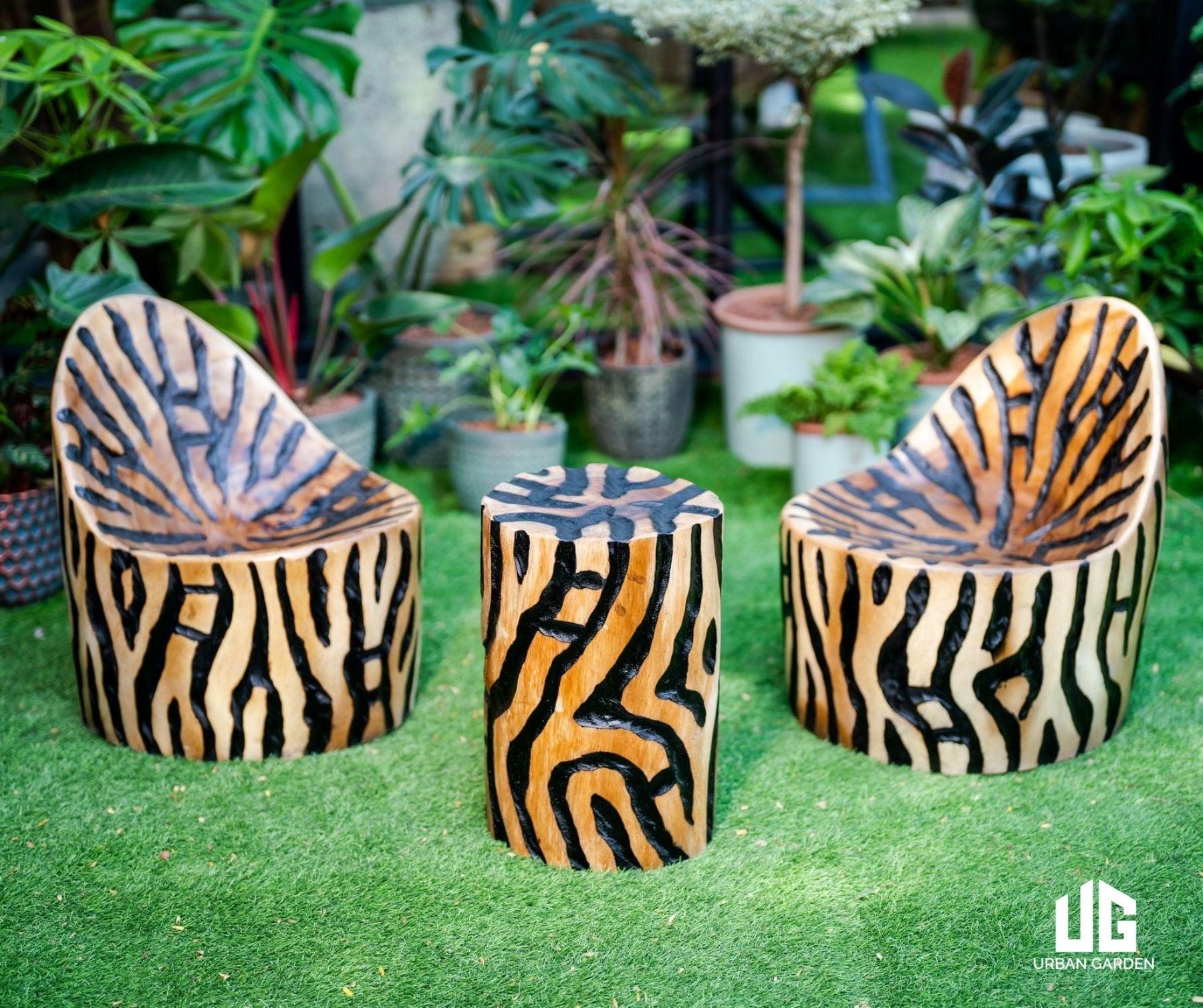  Set Ban Công Zeggbra 