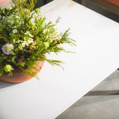  Bàn Sofa Coffee Table Dunham 