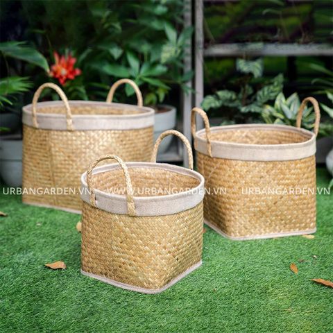 Giỏ cói bàng LQ31 - 7125