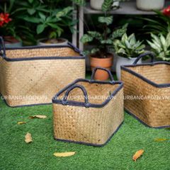  Giỏ cói bàng LQ31 - 7131 