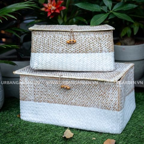 Giỏ cói bàng LQ31 - 7136