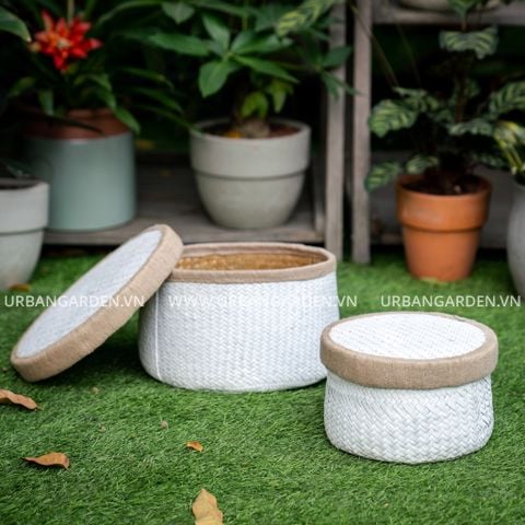 Giỏ cói bàng LQ31 - 7178