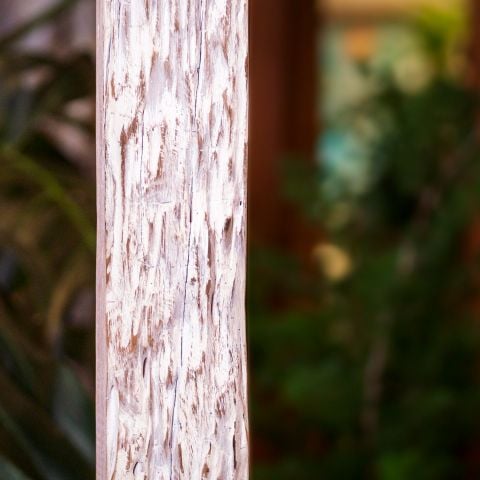 Gương chữ nhật Gỗ Lũa Reborn Wood Driftwood Gothic 1M8 -  White Wash