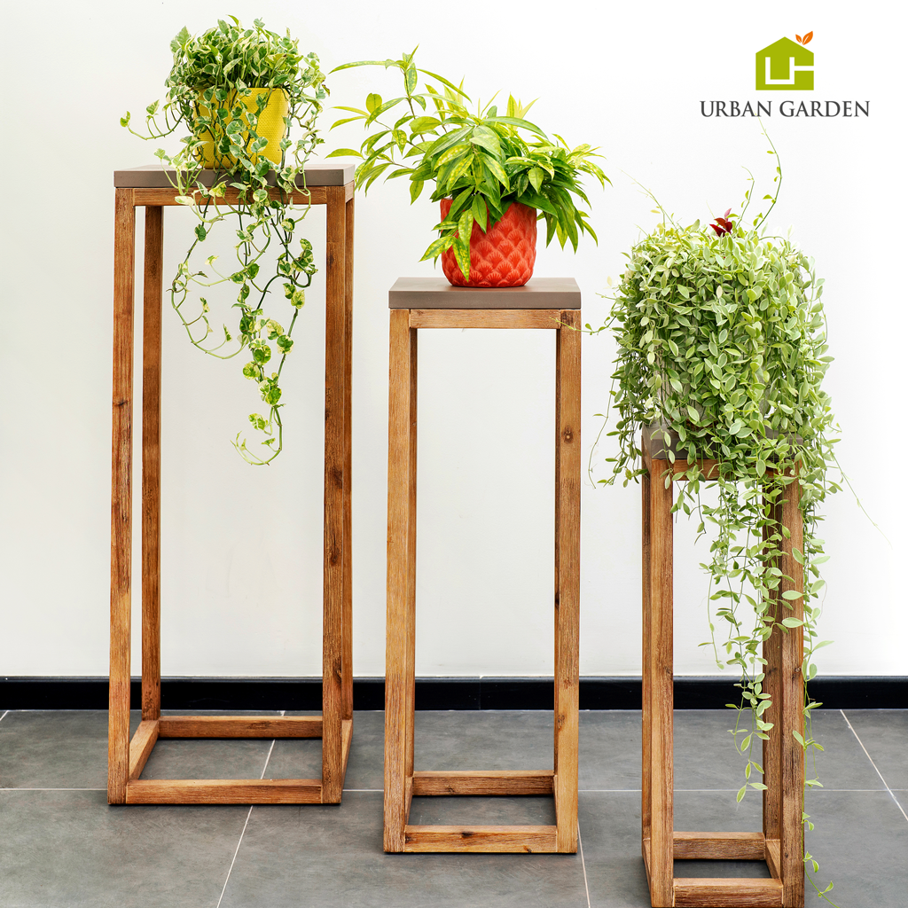  Kệ Đá Sa Thạch Iden 