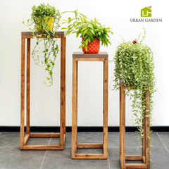  Kệ Đá Sa Thạch Iden 