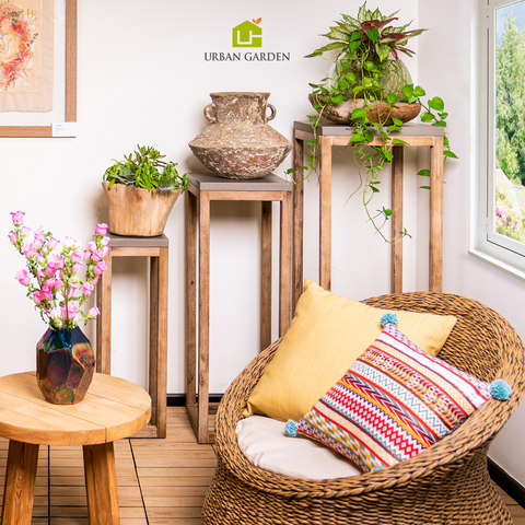 Kệ Đá Sa Thạch Iden