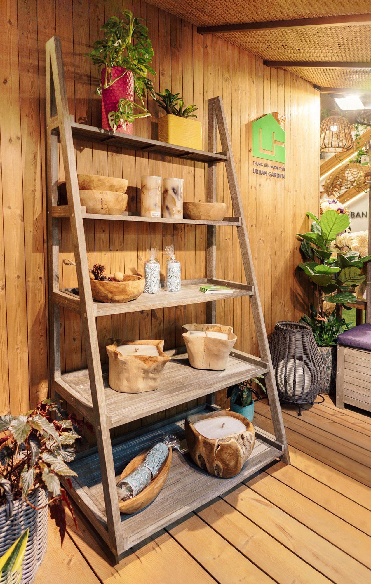  Kệ Để Cây Gỗ Tràm Lisa 