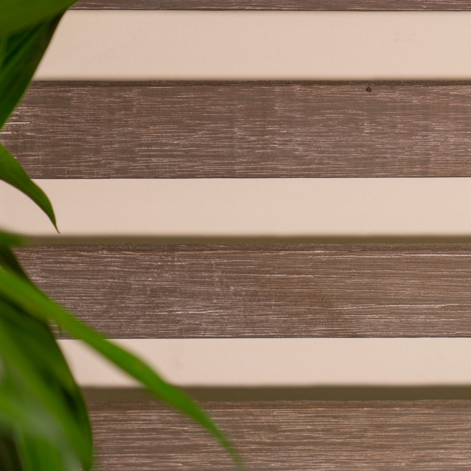  Kệ Để Cây Gỗ Tràm Mona 