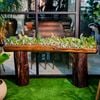  Bàn Trang Trí Console Gỗ Lũa Reborn Wood Foxy 15CX3 D200 