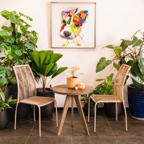 Bàn Cafe Tròn Gỗ Tràm Montana D60