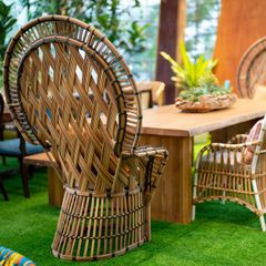  Ghế Thư Giãn Mây Nhựa Peacock 
