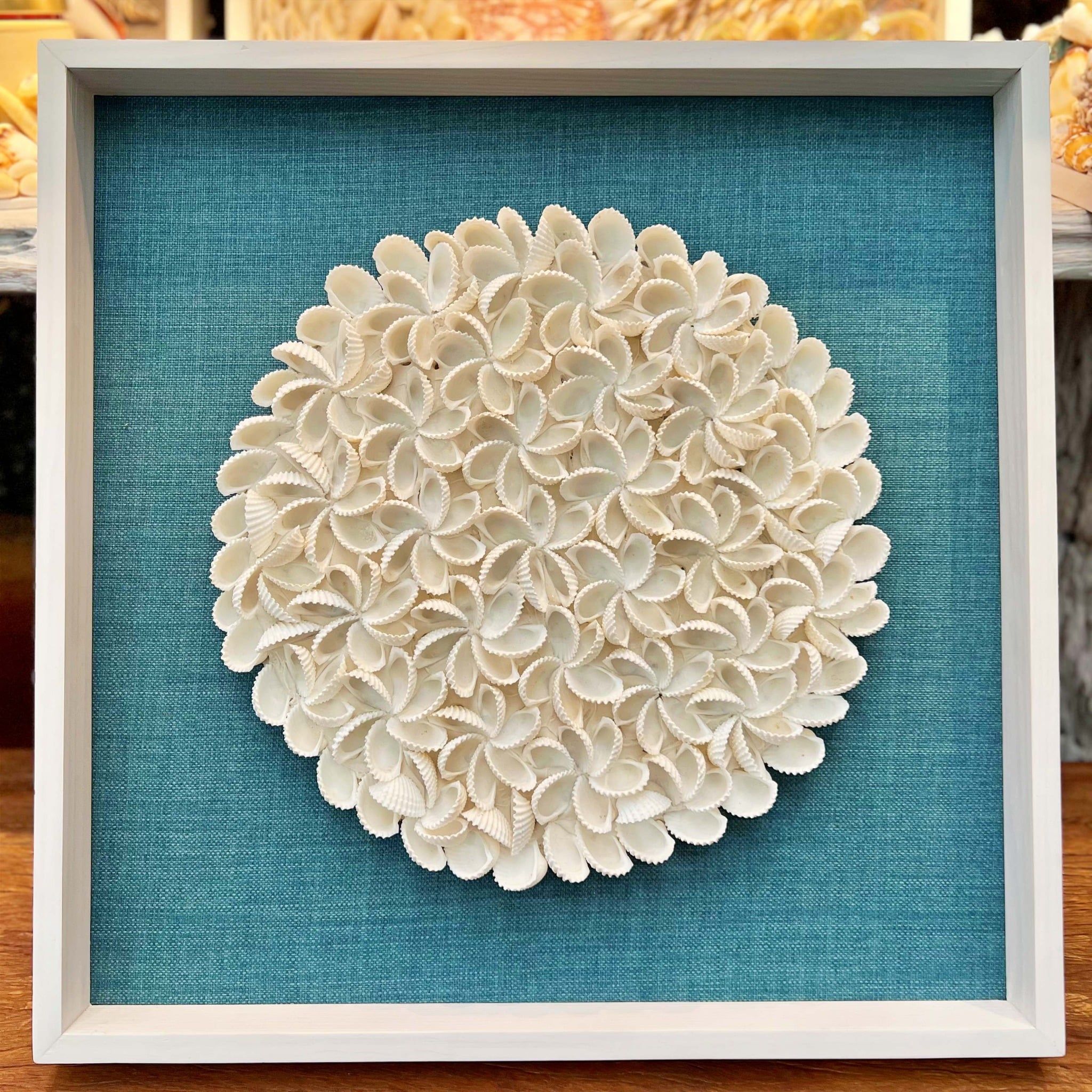  Sea Shell Art D50 
