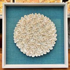  Sea Shell Art D50 